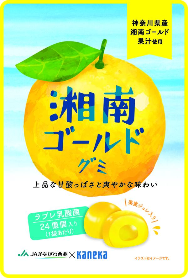 湘南ゴールドグミ
ラブレ乳酸菌入