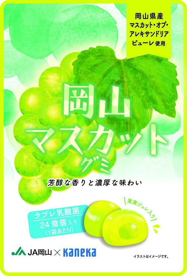 岡山マスカットグミ
ラブレ乳酸菌入